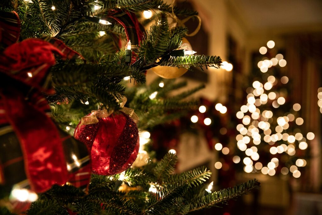 Christmas tree and fairy lights